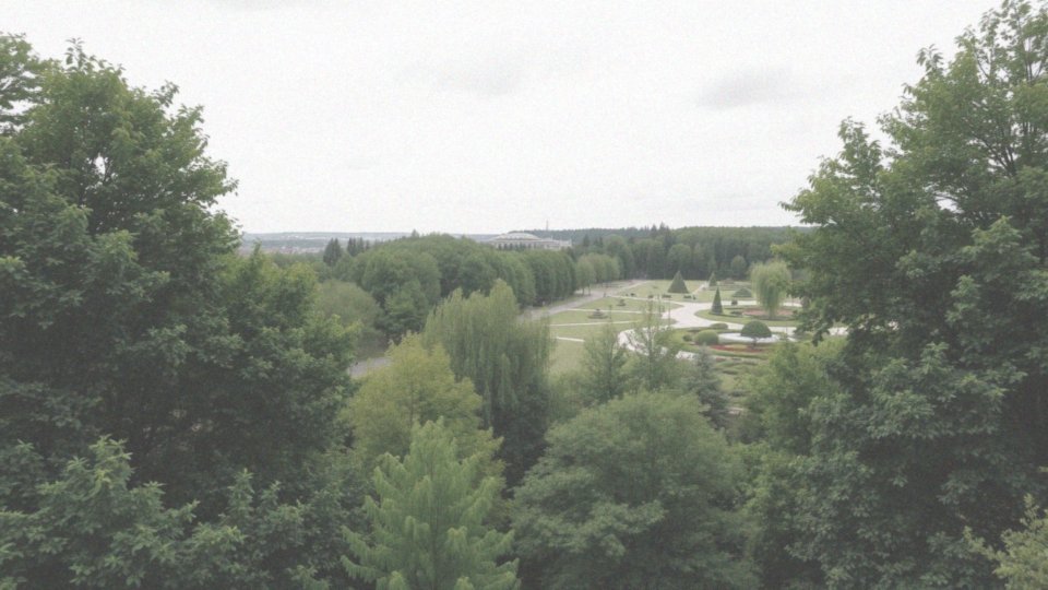 Co znajduje się w okolicy ZOO we Wrocławiu?