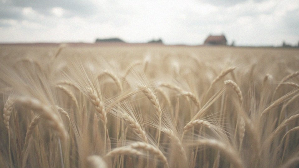 Brak parcia na stolec – przyczyny i skutki dla zdrowia jelit