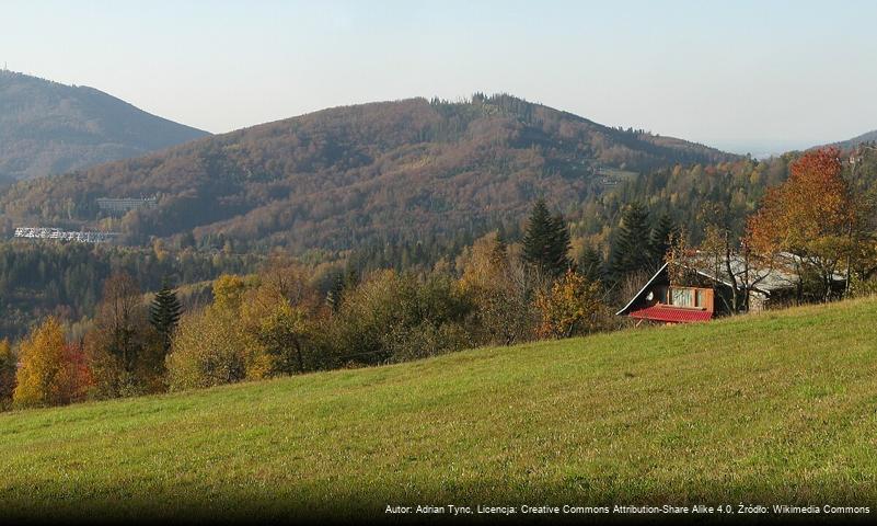 Bukowa (Beskid Śląski)