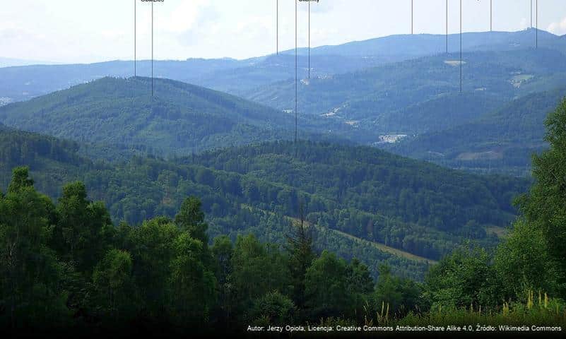 Czajka (Beskid Śląski)