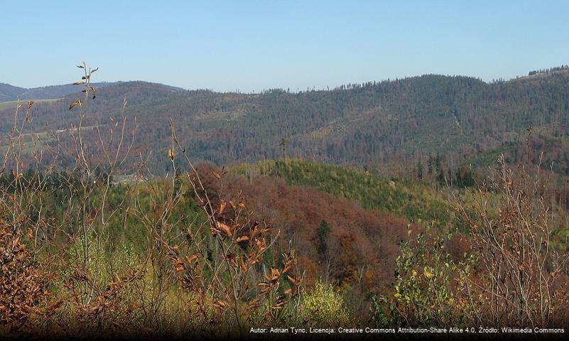 Smrekowiec (Beskid Śląski)