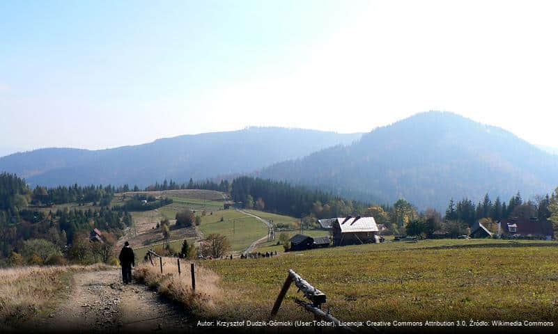 Stożek Mały (Beskid Śląski)